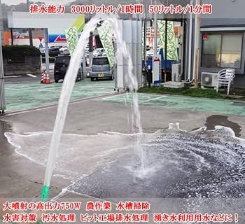 Amazon.co.jp: MOTOFUTURE 水中ポンプ 小型 電動ポンプ アルミ製